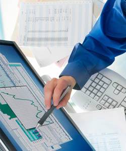 SEO Consulting